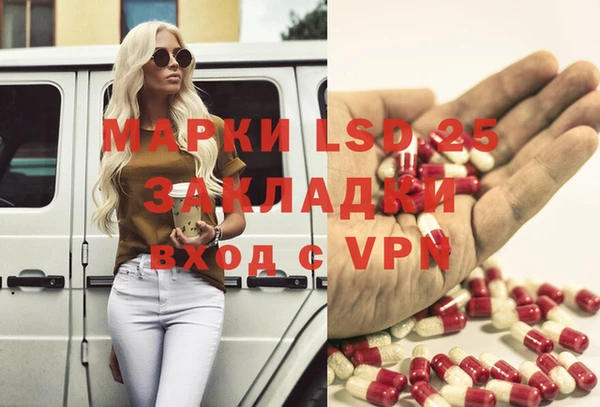 шишки Абинск