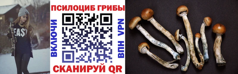 Псилоцибиновые грибы мицелий  кракен   Нюрба  что такое  